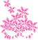 http://virtualpopstar.com/layout/nl/images/doll/ieziorqutg.png